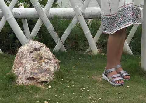 支裕涵三年级作文集