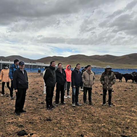 强化技术指导  提升服务能力