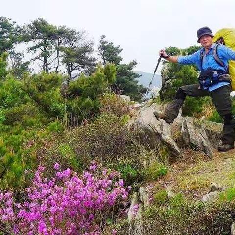 蒙山名峰之三十：金花银杏大顶子