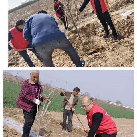 《植树节》我们在行动