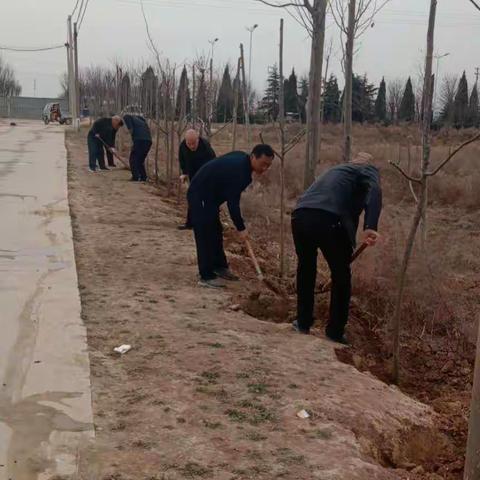 《植树节》我们在行动