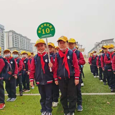 游诗画风光，品家乡美景——龙游阳光小学三年级四班研学活动🌹🌹🌹