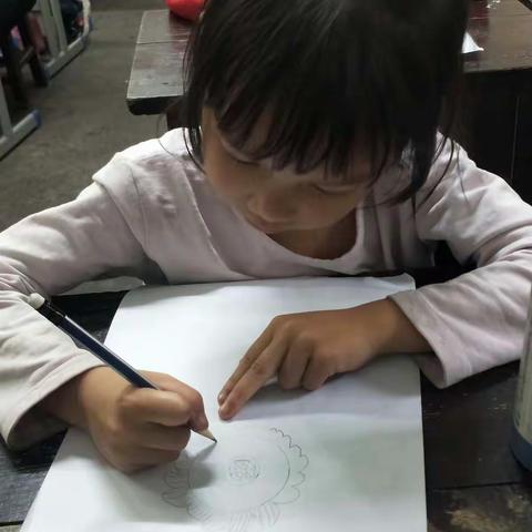 太阳花