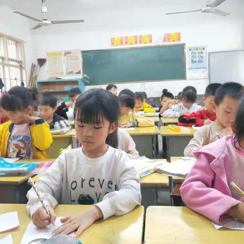一3班一班一特色美篇仙人掌