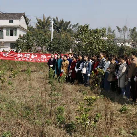 汇东公司组织女工参加户外公益除草活动