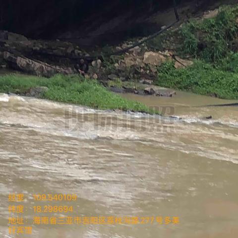 10月8日巡查荔枝沟二桥至封塘河段，因下雨影响河水上涨，河道水体混黄，河面漂浮少量落叶垃圾。