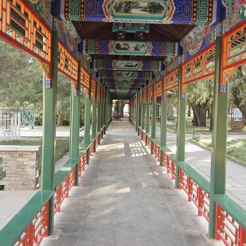 养在深闺少认识（第136期2022年总第580期）