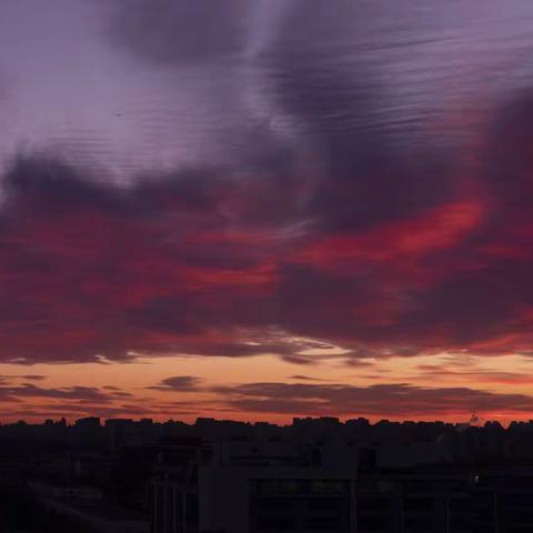 朝霞怒气冲霄汉（135期2022年总第579期）