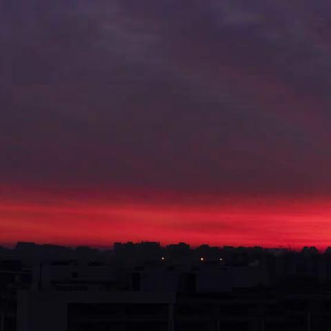 丹旗炫涌霞光（第137期2022年总第581期）