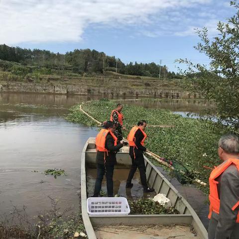【河长制工作】城郊镇：做实日常巡河，深化“河长制”工作落实