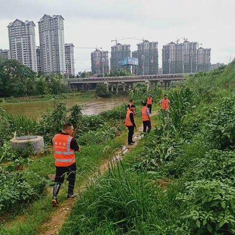 【河长制工作】城郊镇：“四乱”整治在行动，河道美丽守护中！