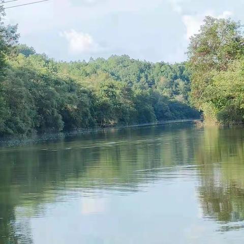 【河长制工作】城郊镇：持续管护有序行，水清岸净风景靓！