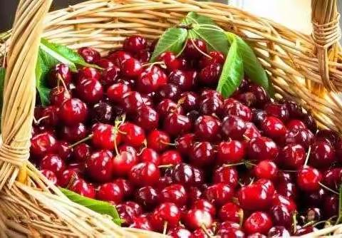 灵宝邮政助力樱桃