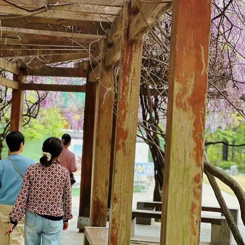 人间四月天 镇江、扬中和兴化
