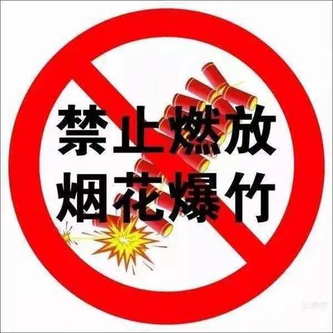 禁燃烟花爆竹   你我共同参与——新海村委会开展禁燃烟花爆竹宣传工作