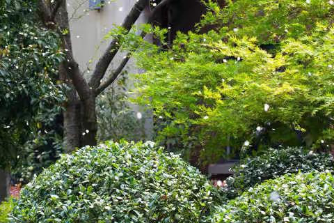 垃圾分类  你我同行