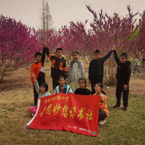 濮阳市实验小学五年级11班——奇思妙想读书社活动