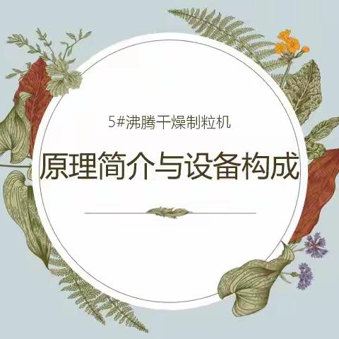 炼鹰计划第五期——封海阳