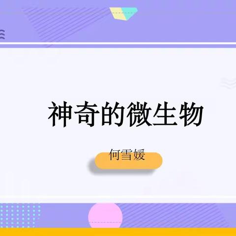 颗粒班“炼鹰课堂”第十五讲开课了