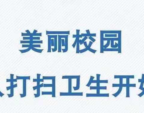 洁净校园，从我做起——记校园大扫除活动