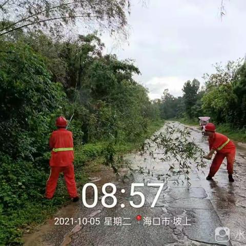 海口市地方公路管理站巡查道路情况