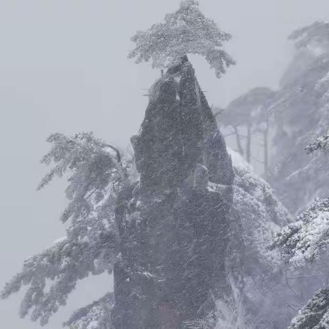 银装素裹中的黄山