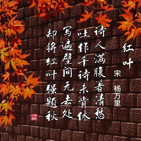 星城秋印