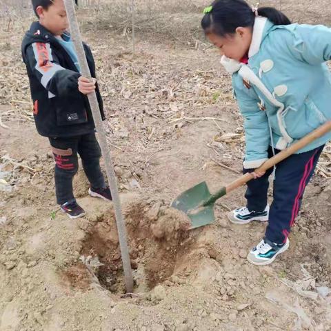 最美春天——植树节