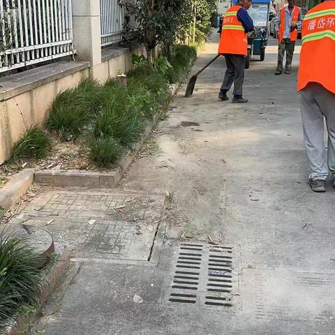 持续整治不停歇|潘岱街道仲容社区砚下经合社开展人居环境整治