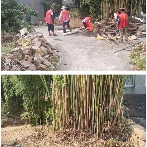 潘岱街道仲容社区梧岙经合社扎实推进人居环境整治