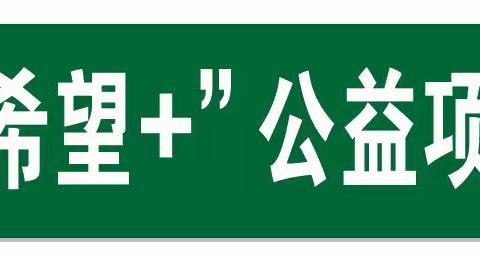 助力乡村学前教育 点燃爱心希望之光 ——记“乡村园长希望+”邵阳工作室邵东之行