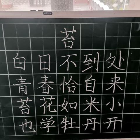 苔