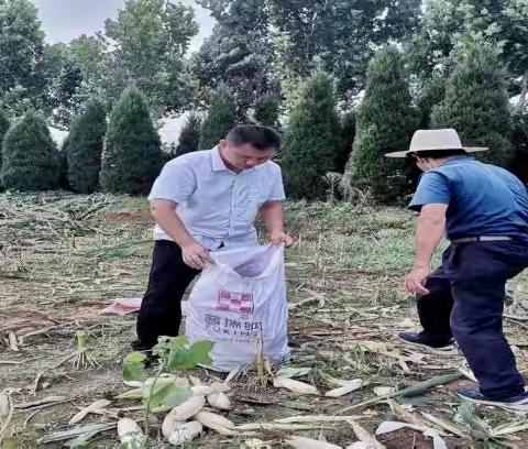 大冶水库联通工程清表工作正式进入收尾阶段