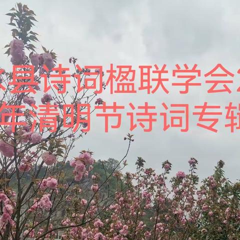 惠水县诗词楹联学会2022年清明节专辑