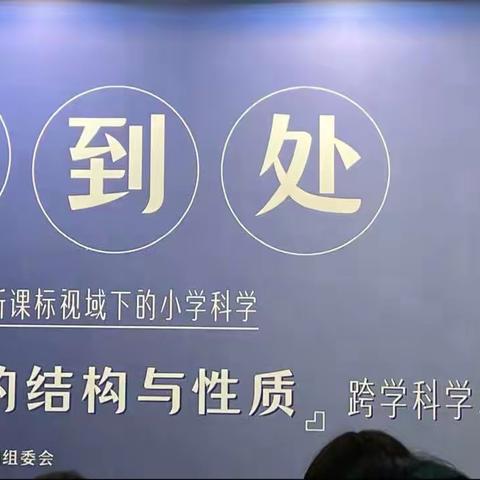 湖师附小井安小学“千课万人”新课标视域下“物质的结构与性质”跨学科学习观摩活动