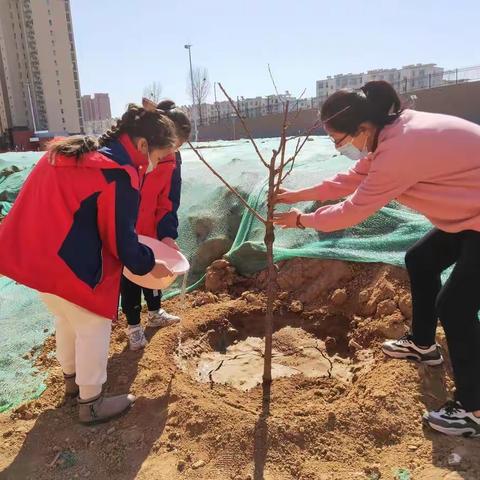 践行绿色低碳理念 推动可持续发展——井陉矿区天护小学植树节主题教育活动