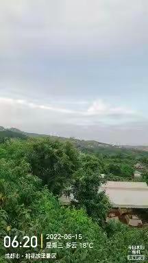 龙泉森林公园被冷落风景