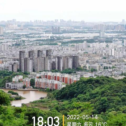 龙泉森林公园随手记