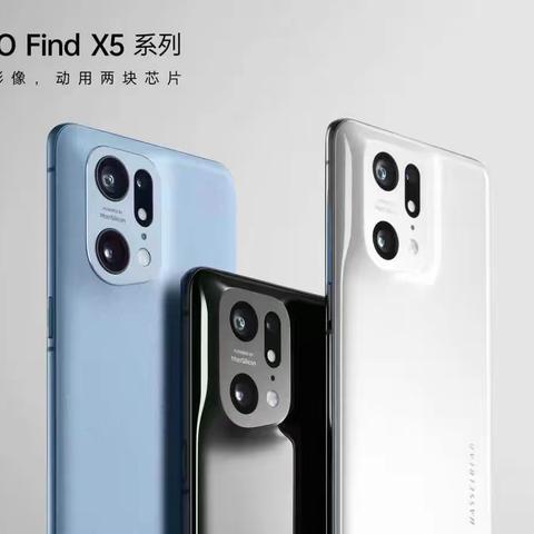 5.20[爱心]表白日，生活需要仪式感，遇见你，遇见爱，想要爱，就表达——[玫瑰][玫瑰][玫瑰]💕给她（他）一份