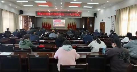 “喜迎二十大、永远跟党走、奋进新征程 ”谭家街道团工委组织收看党的二十大开幕式