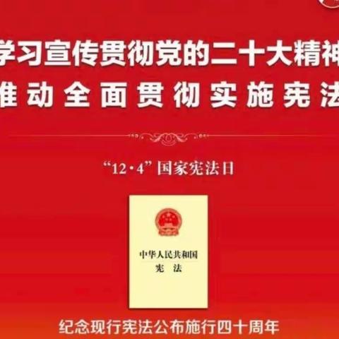 临颍县皇帝庙乡中心学校校本部开展师生共学宪法活动