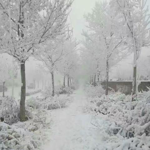 雪景