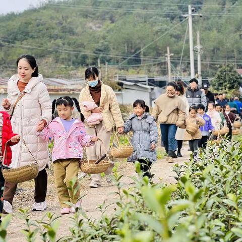 赴一场初冬的约会   奔向暖阳，“薯”你最棒——缙云县新区实验幼儿园教育集团总园大六班