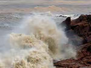 一片汪洋都不见