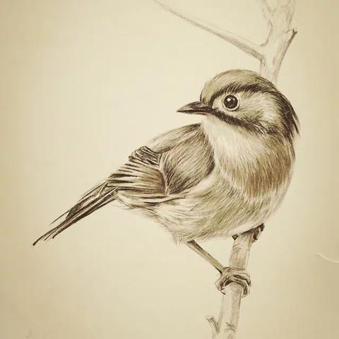 第二十六章 雕花床的启示