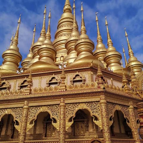 冬天的西双版纳……