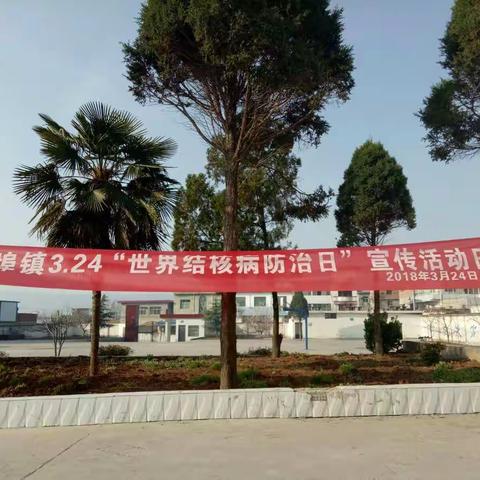 和谐校园 健康为本 ——记双泉小学体检活动