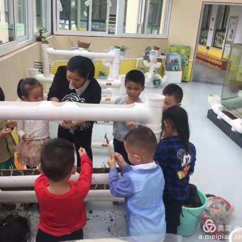 收获，播种