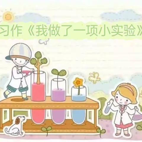 【黎明小学 三年二班】引导 让孩子去发现 放手 让孩子去体验——习作《我做了一项小实验》