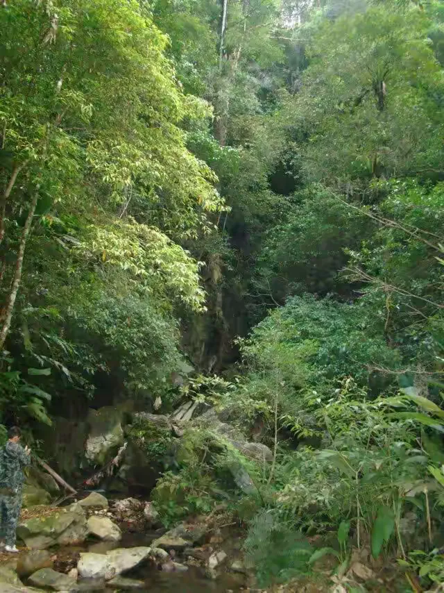 仙龙溶洞图片